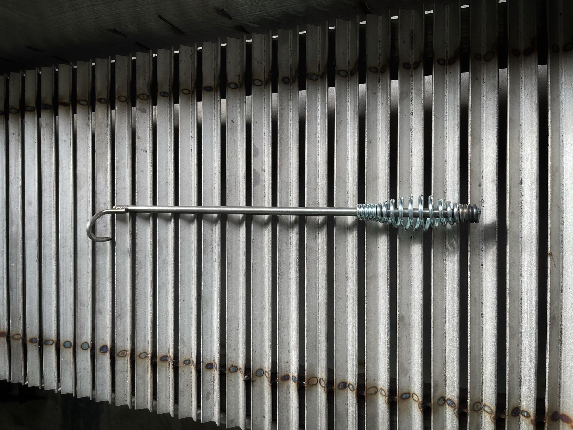 331489437_558282062923407_6769258345278495805_n